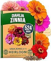 HOME GROWN Zinnia Dahlia Seeds Pack for 2026 Non GMO 524 Flower Seeds | Vibrant Zinnia Elegans for Pollinator Gardens,...